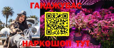 амф Моздок