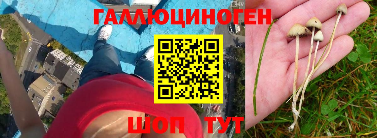 цены   Вход с VPN  Галлюциногенные грибы Psilocybe  Тобольск  Галлюциногенные грибы Cubensis 
